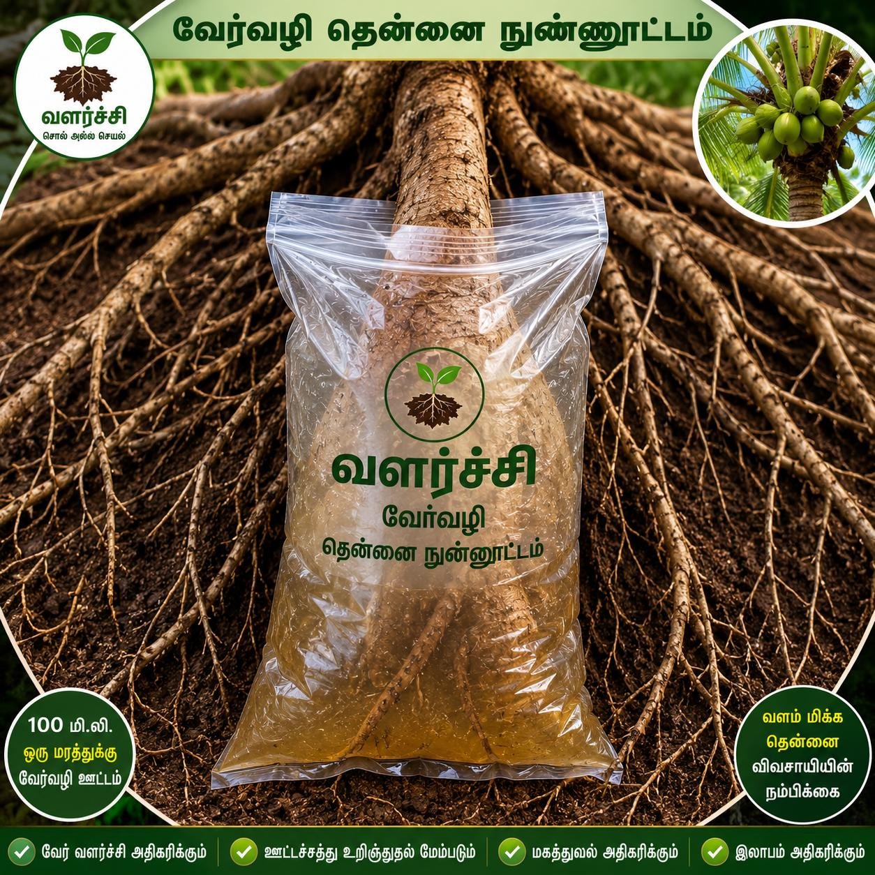 தென்னை பணிகள்